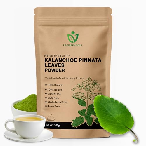 200 Kalanchoe Pinnata Leaves - 100% Pure, Organic, Dried Leaves