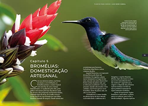 Plantas & Humanos, uma Amizade Histórica: Plantas para Jardim