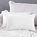 Deconovo Lot de 2 Housse de Coussin Rectangulaire 50x30cm en Velours Taie d'oreiller Blanc Housse de Coussin Doux