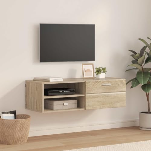 Kaloriko Cabinet en Bois d’ingénierie chêne Sonoma Mat avec tiroir, Meuble TV intérieur, Rangement 100,5 x 39 x 30 cm pour Salon, séjour, Bureau,...