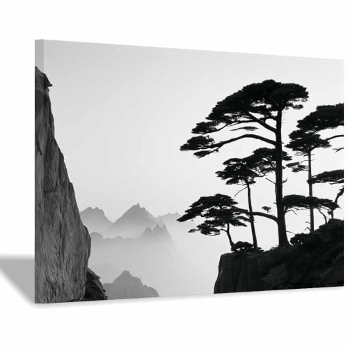 Tableau sur toile XENIOU décoration murale haut de gamme - Falaise noire et blanche 60x90