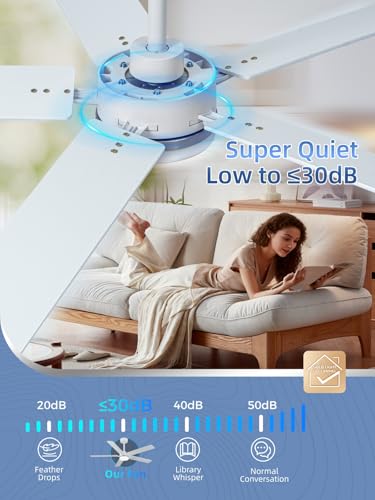 Image of LANMEL Ceiling Fan with Light, Modern Flush Mount Low Profile with Remote Control, Reversible, 3CCT Dimmable, Quiet,LED for Bedroom, Living Room, Indoor /Outdoor Patio Use 52 Inch Silver & White