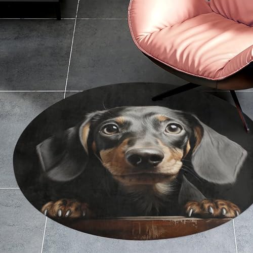 Alfombra de perro salchicha lavable para decoración de salón y dormitorio 3