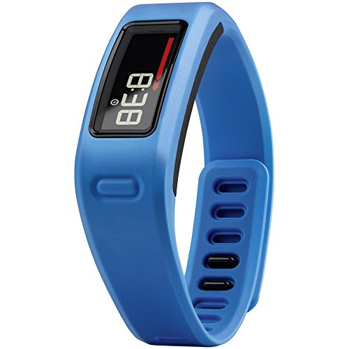 Garmin Vivofit Fitness Band