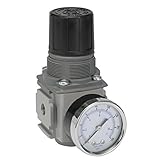 Parker Hannifin P32RB93BNNP Series P32RB Compact Regulator Without Gauge, Relieving Relief, Non-Rising Knob, 8 bar/125 psig/0.8 Mpa Range, Plastic Panel Mount Nut, 3/8