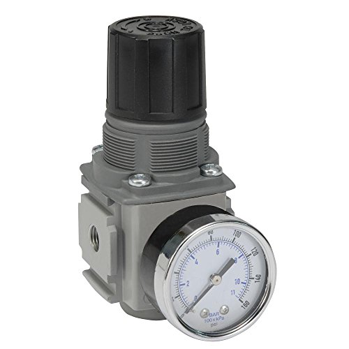 Parker Hannifin P32RB93BNNP Series P32RB Compact Regulator Without Gauge, Relieving Relief, Non-Rising Knob, 8 bar/125 psig/0.8 Mpa Range, Plastic Panel Mount Nut, 3/8