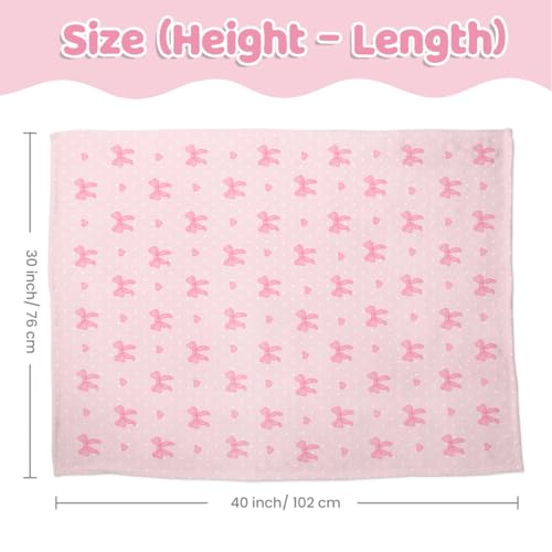 Image of SANDJEST Pink Bow Minky Blanket 30 x 40 Inches, Gift for Christmas Birthday
