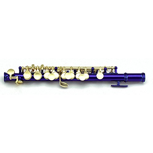 image for Sky Band Approved Piccolo Key of C with Hard Case, Cloth, Cleaning Rod