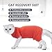 Harikaji Cat Recovery Suit, After Surgery Wear for Abdominal Wounds Spay,Pet Cat Weaning Onesie Suit(Orange,L)