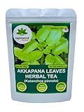 Organic Kalanchoe pinnata Leaves Tea, miracle leaf air plants Bryophyllum Pinnatum Herbal Tea, 40 Tea Bags/ 1.5g