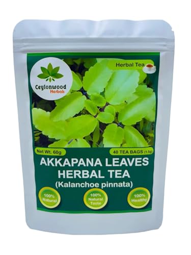 Organic Kalanchoe pinnata Leaves Tea miracle leaf air plants Bryophyllum Pinnatum Herbal Tea 40 Tea Bags/ 1.5g