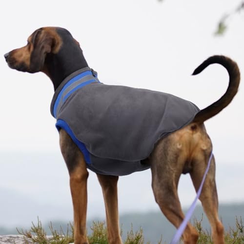 Hundepullover Mittelgroße Hunde, hundemantel mit Klettverschluss Hundeweste Fleece Winter Warm Sweater für Hunde(Grau, M)