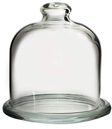 Pasabche - Juego de cúpula y plato de cristal para magdalenas y pasteles de mantequilla y frutas