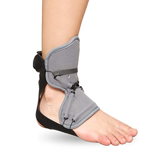 񑫑AFOA]AЖჁAC_oAҐ̂߂̑񑕋߉\ȑ