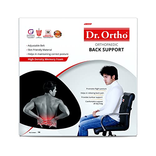 10 Best Back Support For Chair In India Review And Buying Guide
