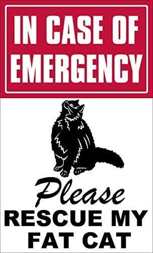 in Case of Emergency Please Rescue My Fat Cat 3M Reflective Sticker| fire Save Decal