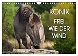 VIELFALT - Bildkalender in verschiedenen Formaten z.B. DIN A5, DIN A4, DIN A3 sowie DIN A2. Ob Naturmotiv, Gemälde oder Fotos, ideal für ein persönliches Wohlfühlambiente.