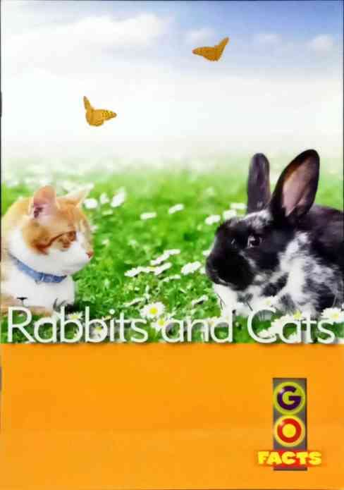 Rabbits and Cats