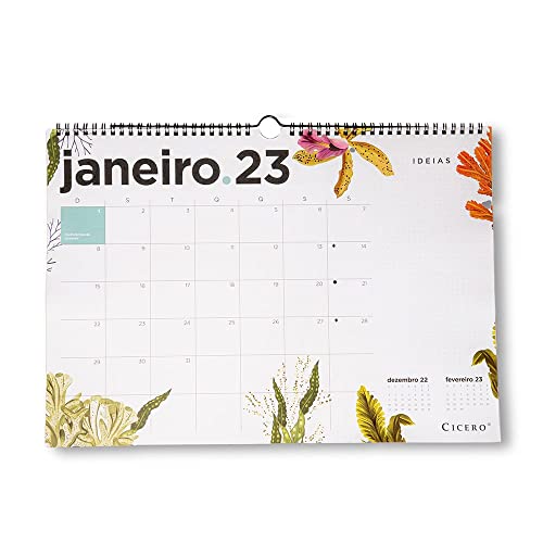 Cicero Calendario de Parede 2023 Oceano, Modelo: 0418, Cor: Colorido