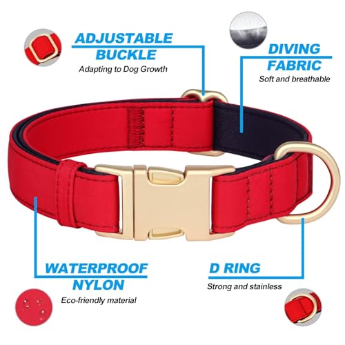 Collier léger pour grand chien rouge imperméable confortable L