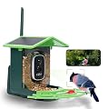 Bird Feeder with Camera, AI Birds Identification, Solar Powered, Live View, Instant Alerts, Capture Bird Videos, 2K HD Camera, Ideal Gift for Family and Enthusiasts (Green)