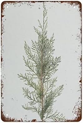 Antique Pine Tree Winter Botanical Art Christmas Wall Decor Retro Tin Sign Vintage Metal Signs Vintage Wall Decor Tin Sign Wall Decor for Home Bar Pub Cafe Farm Room Metal Retro Poster 8x12 Inch