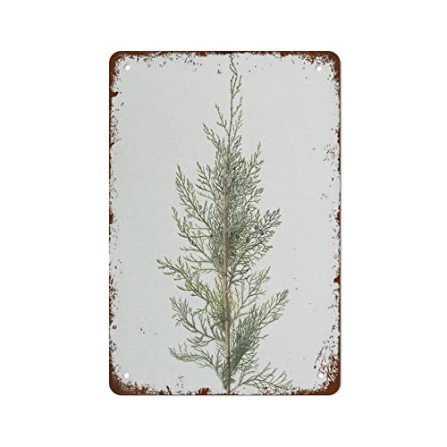 Antique Pine Tree Winter Botanical Art Christmas Wall Decor Retro Tin Sign Vintage Metal Signs Vintage Wall Decor Tin Sign Wall Decor For Home Bar Pub Cafe Farm Room Metal Retro Poster 8X12 Inch #TOP2