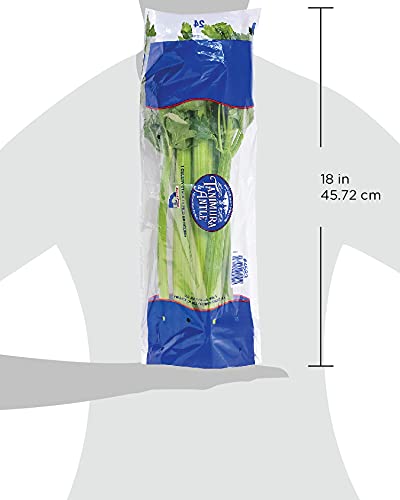Celery, 1 Bunch