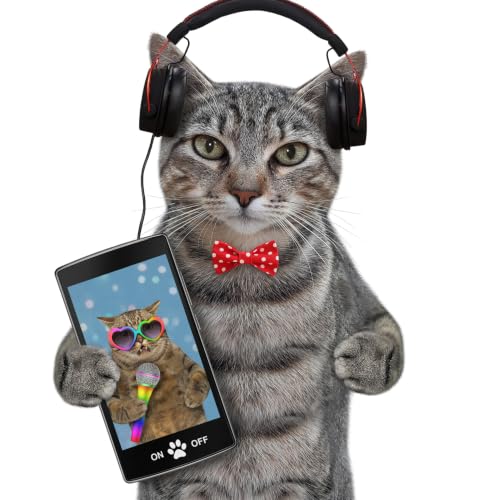 Comedy Cat! Life with Bucky - World&rsquo;s Funniest Cat ! cover art