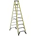 Werner 10 Ft. Type Iaa Fiberglass Step Ladder