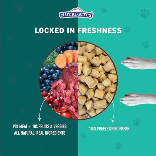 Nutri-Bites-Freeze-Dried-Dog-Food-Full-Meal-Beef-Lamb-Recipe-22-oz-Complete-Balanced-Fresh-Healthy-High-Protein-Pet-Meal-with-Real-Meat-for-Medium-Large-Breeds - Cucciolini Doodles   Nutri-Bites-Freeze-Dried-Dog-Food-Full-Meal-Beef-Lamb-Recipe-22-oz-Complete-Balanced-Fresh-Healthy-High-Protein-Pet-Meal-with-Real-Meat-for-Medium-Large-Breeds