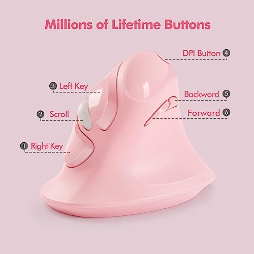 Image of MicroPack Ergonomic Vertical Wireless Mouse, Silent Cordless Office Mouse with USB-A & Type-C Receiver, 800 /1200 /1600 DPI, 6 Buttons, Reduces Wrist Strain for Work, Windows, Mac, PC & Laptop Pink