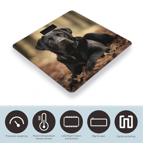 Báscula Digital para Baño de Vidrio Templado con LCD miniatura 3