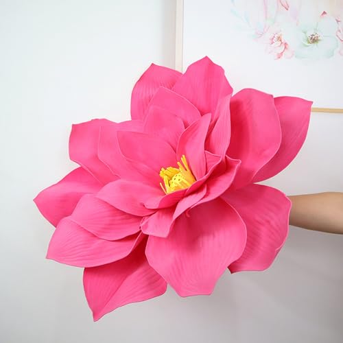 HGJH  ^ tFCNt[ J[5 H| fBXvC EGfBO uC_ ꑕ X V[EBh[ Ǝ{  A[gt[ y[p[t[ I l t[ 50CM