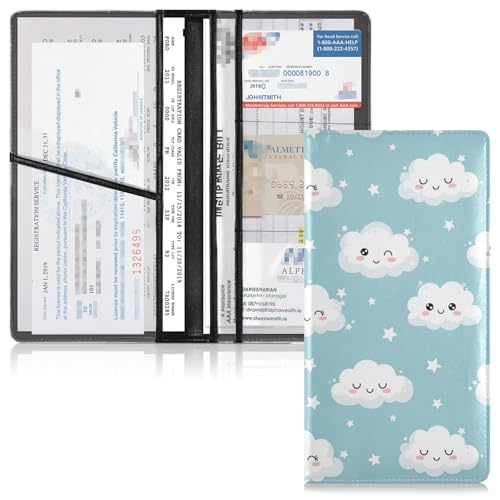 Organizador de Documentos para Auto