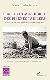 nettoyage pierre de taille cheminee  Sur le chemin oublié des pierres taillées: Itinérance d’une préhistorienne en Orient