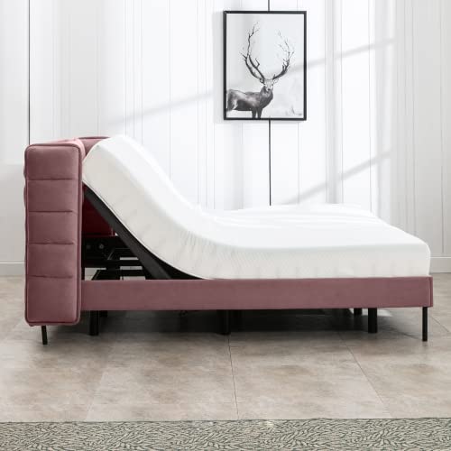 Balus Electric Adjustable Upholstered Bed Frame, Head And Foot Incline, Zero Gravity, Anti-Snore, Platform Frame Compatible, Wireless Remote Intelligent Bed, King, Pink #TOP3