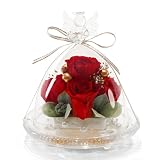 IPFA プリザーブドフラワー ガラスドーム エンジェル プレミアム(レッドラグジュアリー)誕生日 結婚祝い 結婚記念日 退職祝い 還暦祝い 還暦 プレゼント ギフト 人気 女性 花 バラ お祝い 仏花 お供え 記念日