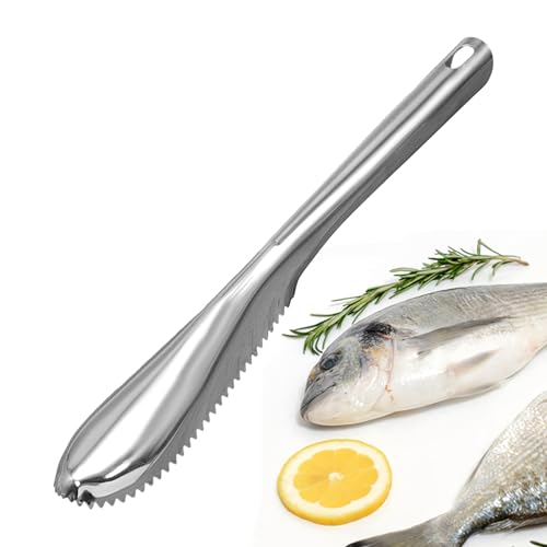 Fish Descaler Tool�AFish Scaler Remover,�X�P�[�������[�o�[�̐l�ԍH�w�Ɋ�Â����n���h���t�B�b�V���X�J���[�̍폜 | ����ނ��ƒ����p�̃f�X�J���[�N���[�j���O�s�[���[���@�\�X�N���[�p�[�c�[��