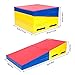 Matladin Folding Gymnastics Cheese Wedge Incline Mat, Gym Fitness Tumbling Skill Shape Mat for Kids Girls Home Training Exercise (55
