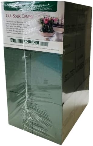 Oasis Standard Floral Foam Bricks, 6 Count (Pack of 1)