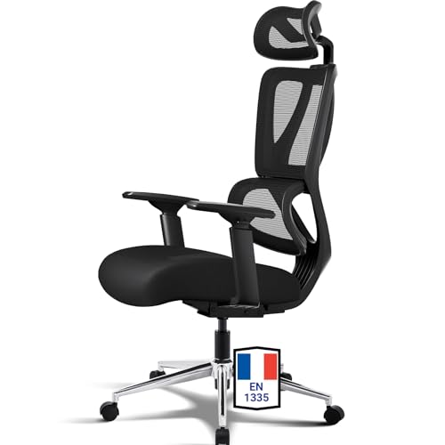 MELOKEA Chaise Ergonomique, Chaise Bureau 150KG, Coussin à Ressorts Hautement Élastique, Fauteuil Bureau Confortable avec Soutien Lombaire Dynamique, Accoudoirs et Appui-tête Réglables, en 1335-Noire