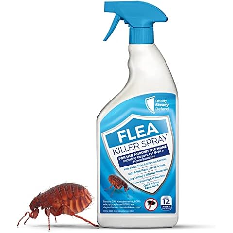 Flea Spray for The Home | 1 Litre | Flea Treatment For Household, Carpets & Pet Beds | Eradicates Flea Infestations Completely | Kills Fleas, Larvae & Eggs on Contact Cover