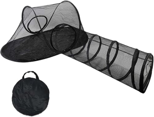 Vinebeautiful OpLegƃglAL[obOtA^Aybgp̒ʋCbVqeg