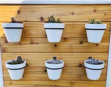 Shiyon Iron Planter Stand for Plants, Balcony, Garden, Home Decoration - Set of 6 (Hanging - Wall Mounted). (B08R1SRZTF) Amazon Price History, Amazon Price Tracker