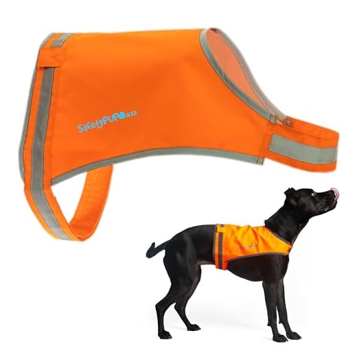 SafetyPUP XD Lite Dog Vest. Coverage to Mid Back. Ideal for Warmer Climates. Reflective Hi Visibility Blaze Orange Fluorescent Fabric Helps to Keep Them in Sight and Safe On and Off Leash.