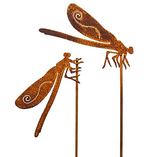 Blümelhuber 2 libélulas decorativas de metal - Figuras de metal para jardín - Decoración vintage - Decoración de jardín en aspecto oxidado Cover