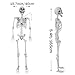 5.4ft/165cm Halloween Skeleton,Life Size Skeleton Plastic Full Body Human Bones with Movable Joints for Halloween Patio Lawn Yard Garden Party Prop Decoration