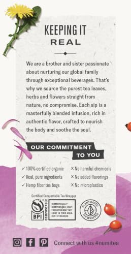 Image of Numi Organic Immune Boost Tea, 48 Herbal Tea Bags, Caffeine Free