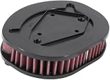 K&N Engine Air Filter: High Performance, Powersport Air...